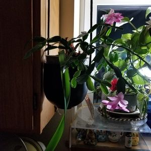 Meet your Posher, Yvonne